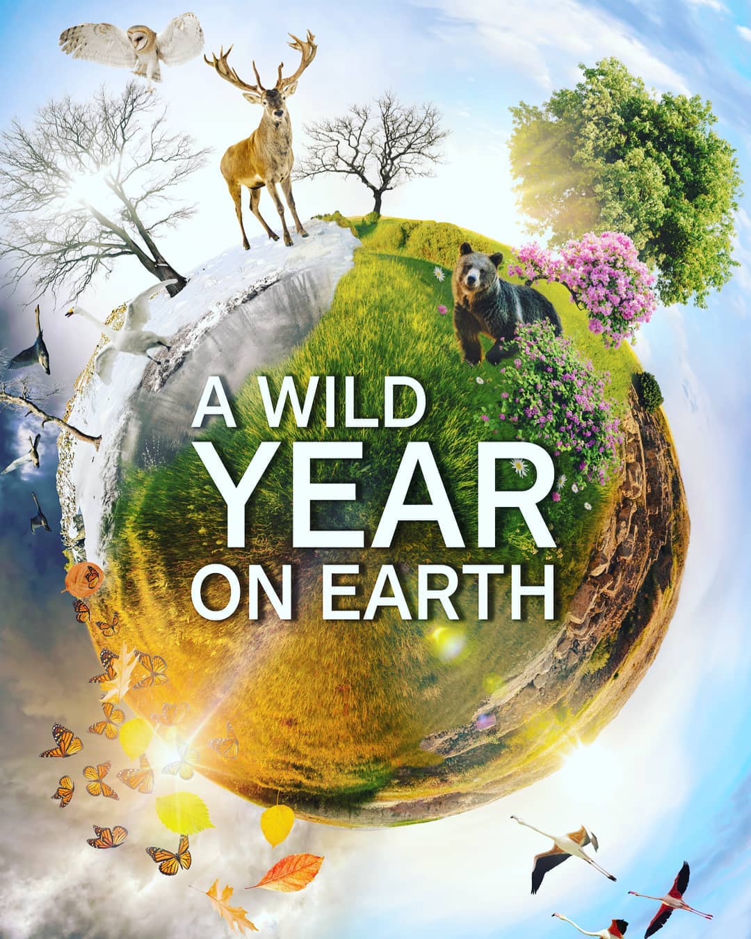 A Wild Year on Earth (2020)