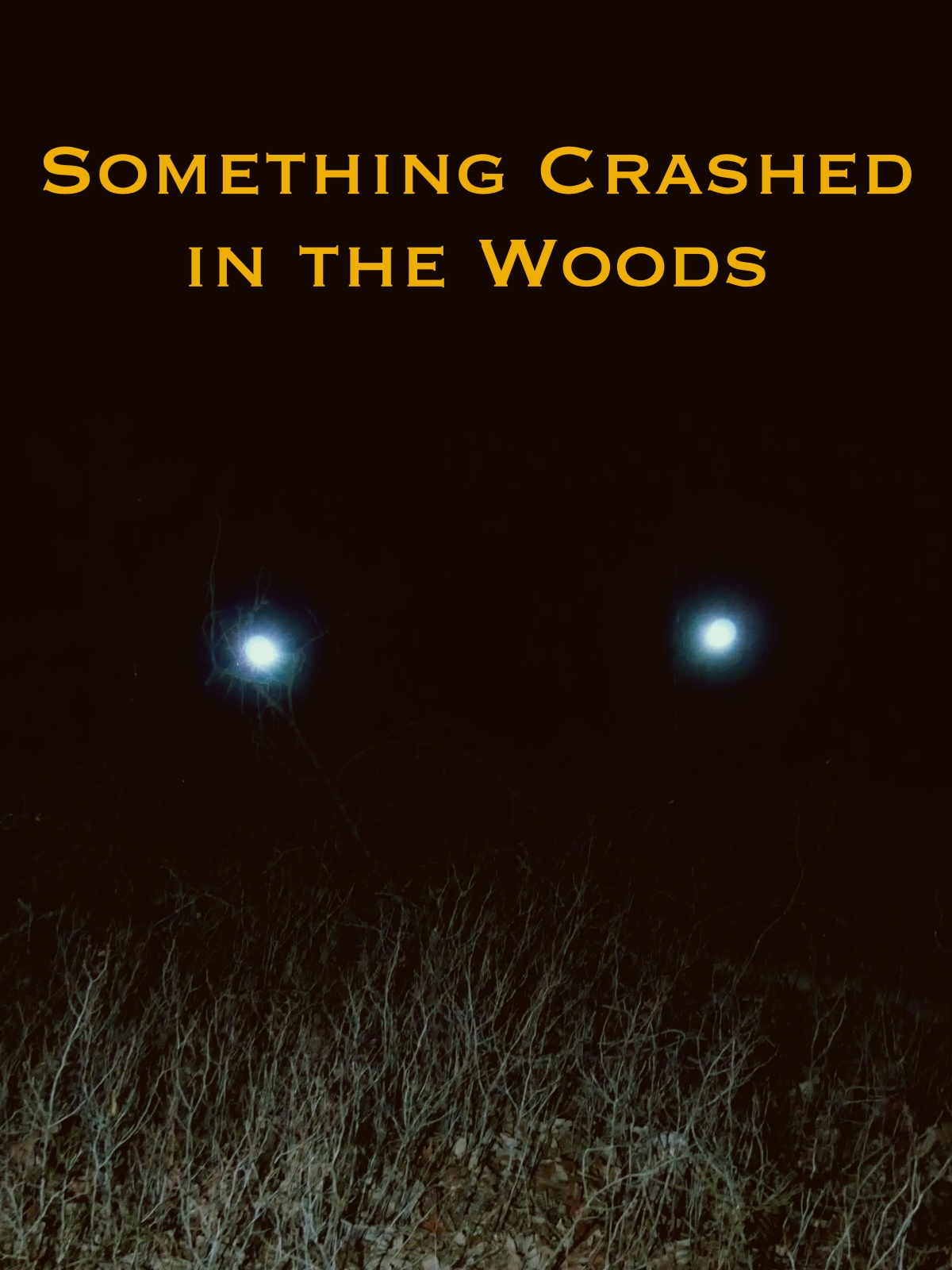 Something Crashed in the Woods (2019)