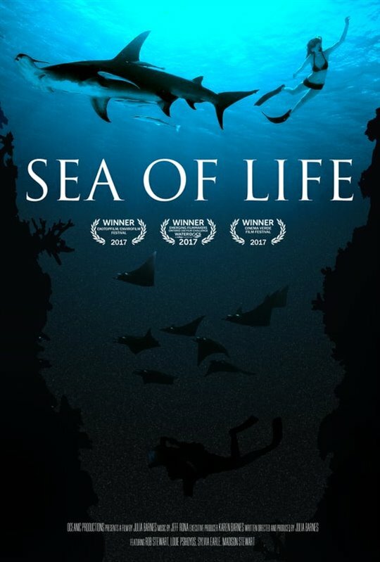 Море жизни (2017)
