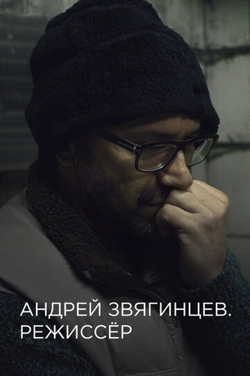 Андрей Звягинцев. Режиссёр (2017)