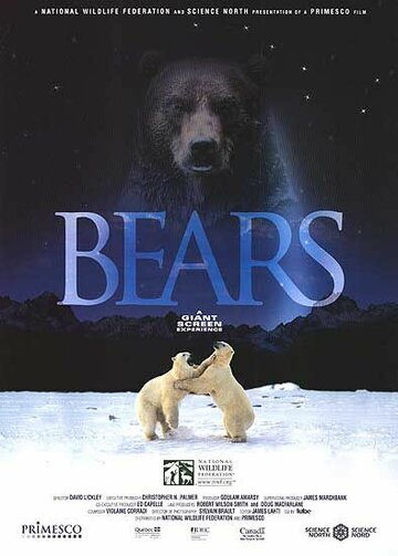 Медведи (2004)