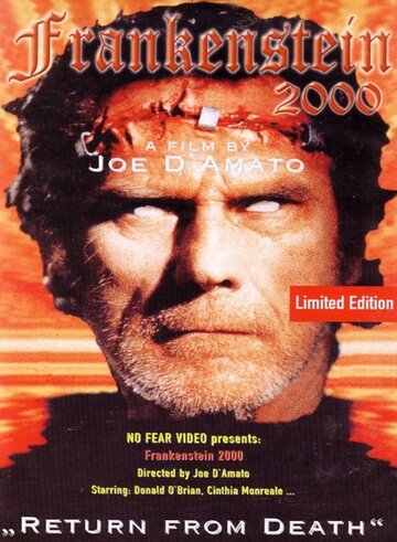 Франкенштейн 2000 (1991)