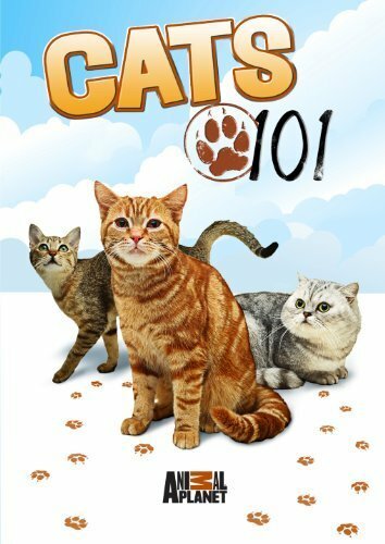 Энциклопедия кошек (2008)